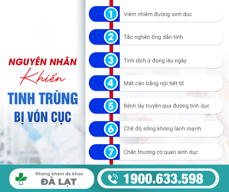 Hình ảnh minh họa